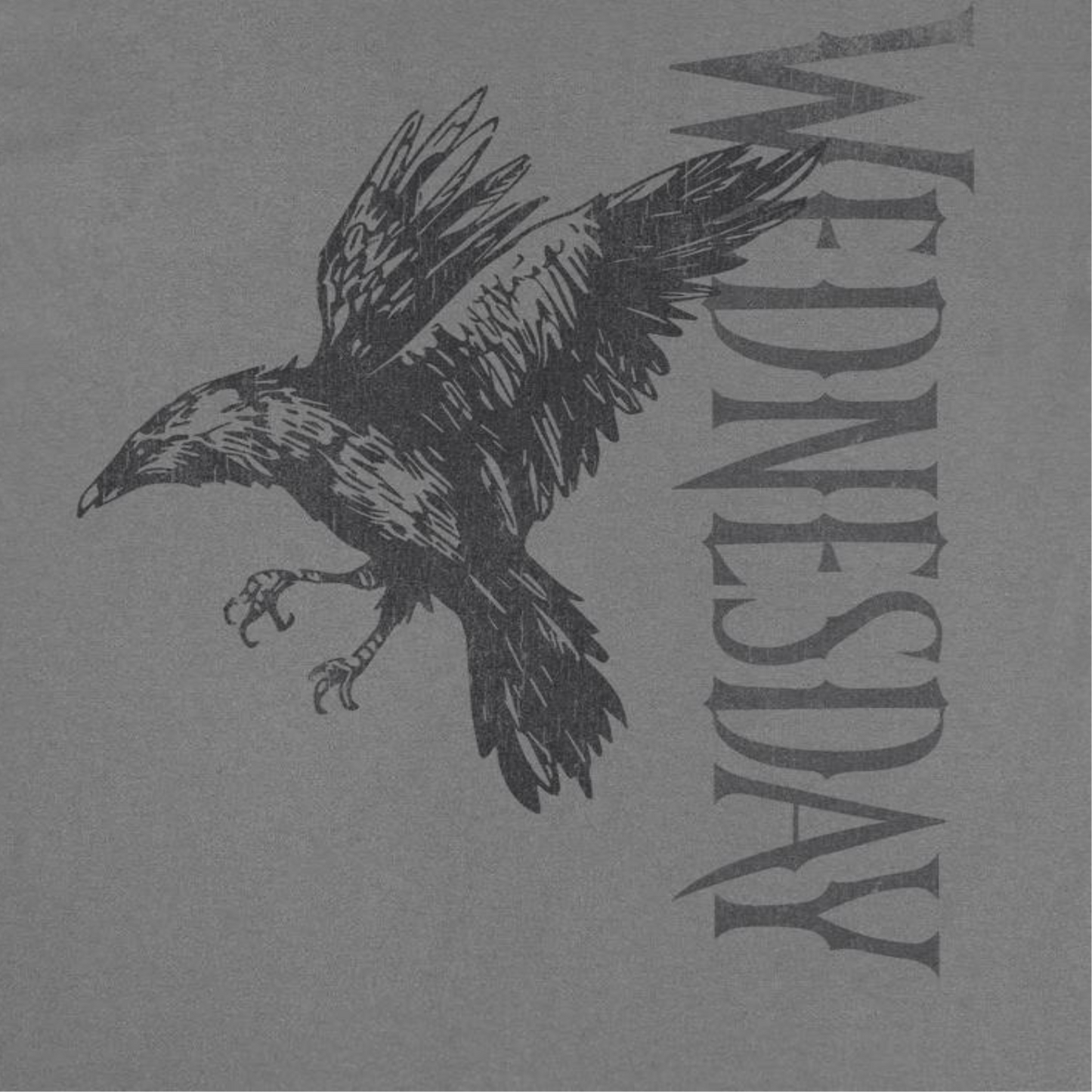 Wednesday Raven 2 Charcoal T-Shirt