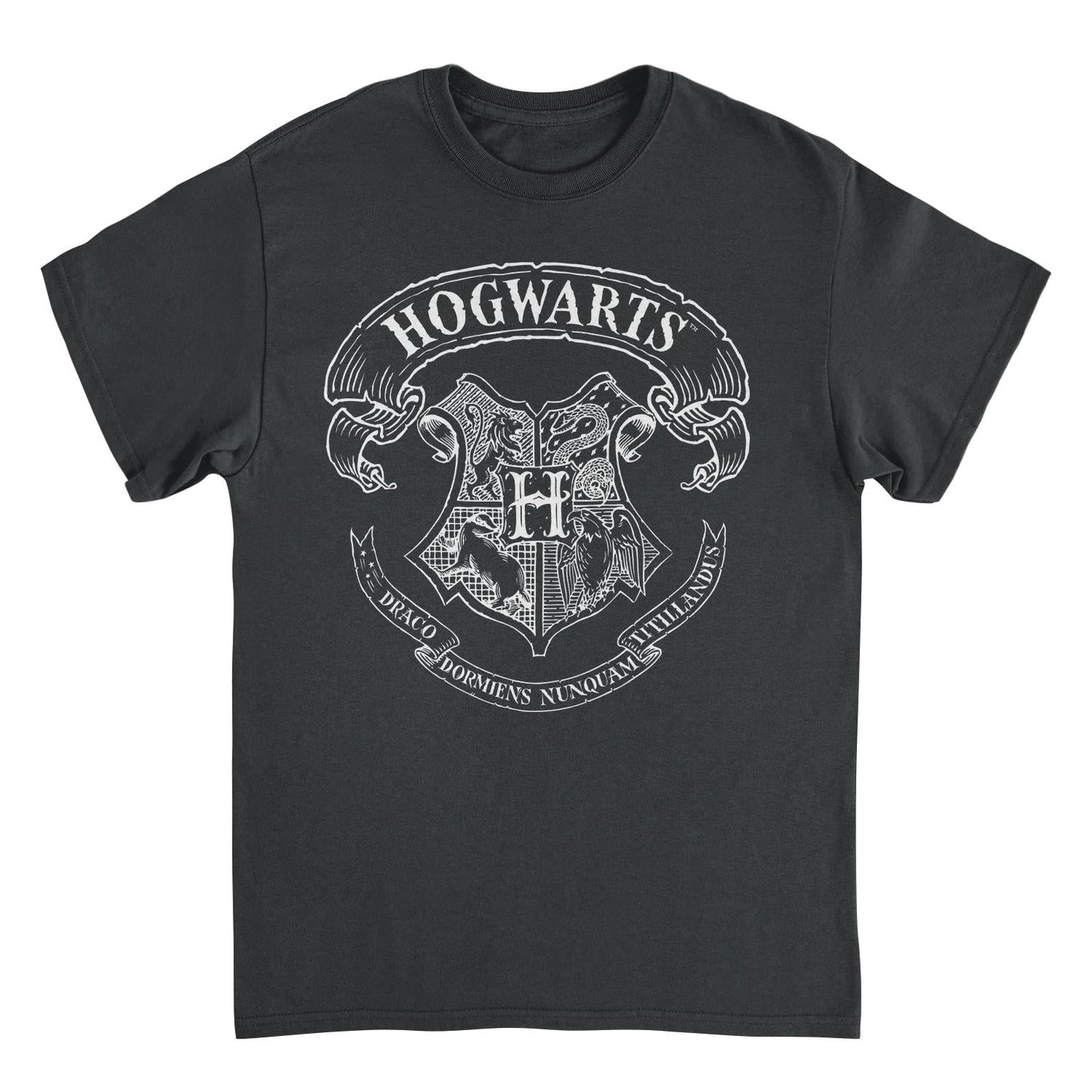 Harry Potter Draco Dormiens Nunquam Titillandus Black T-Shirt