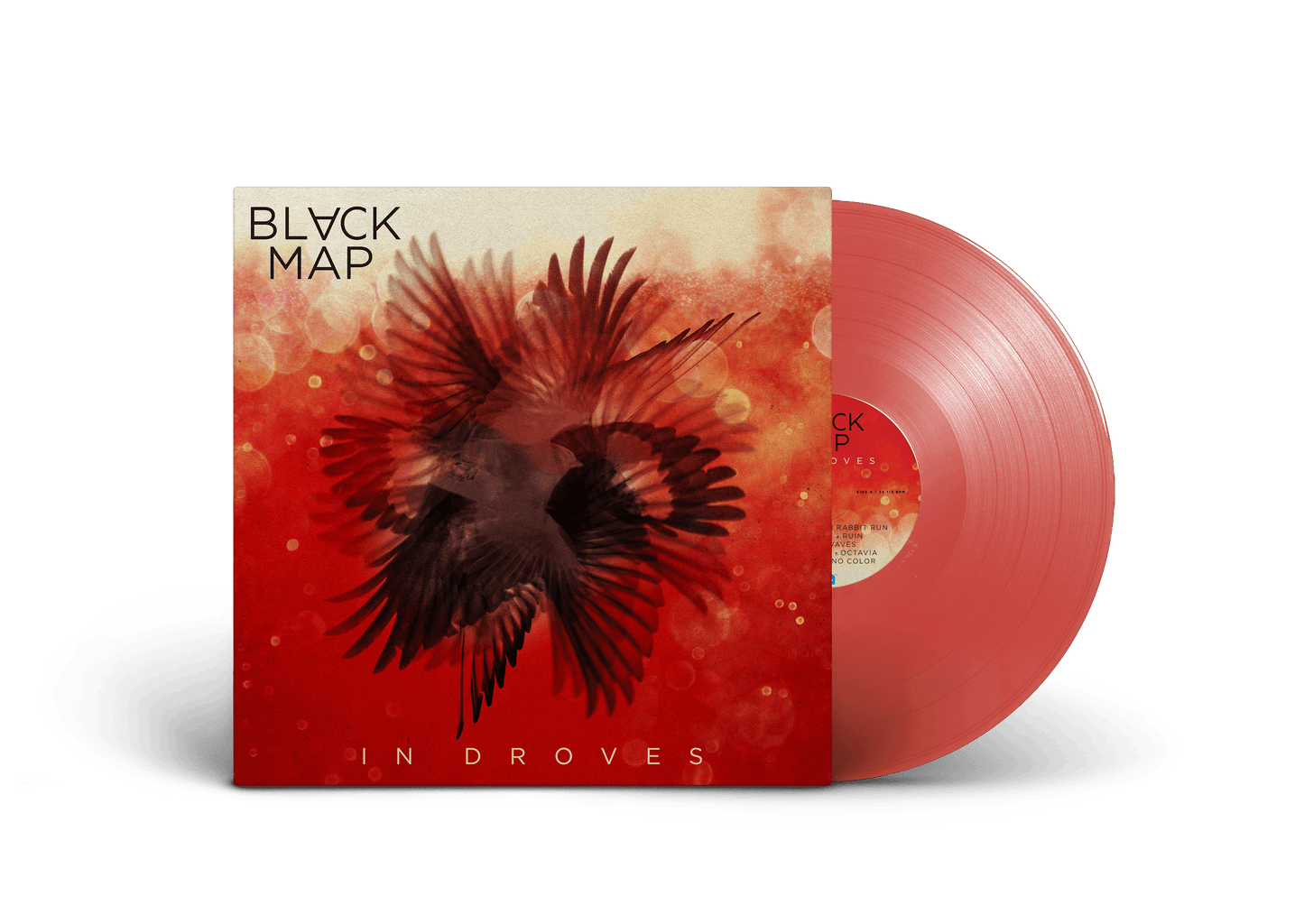 Black Map - "In Droves" Vinyl