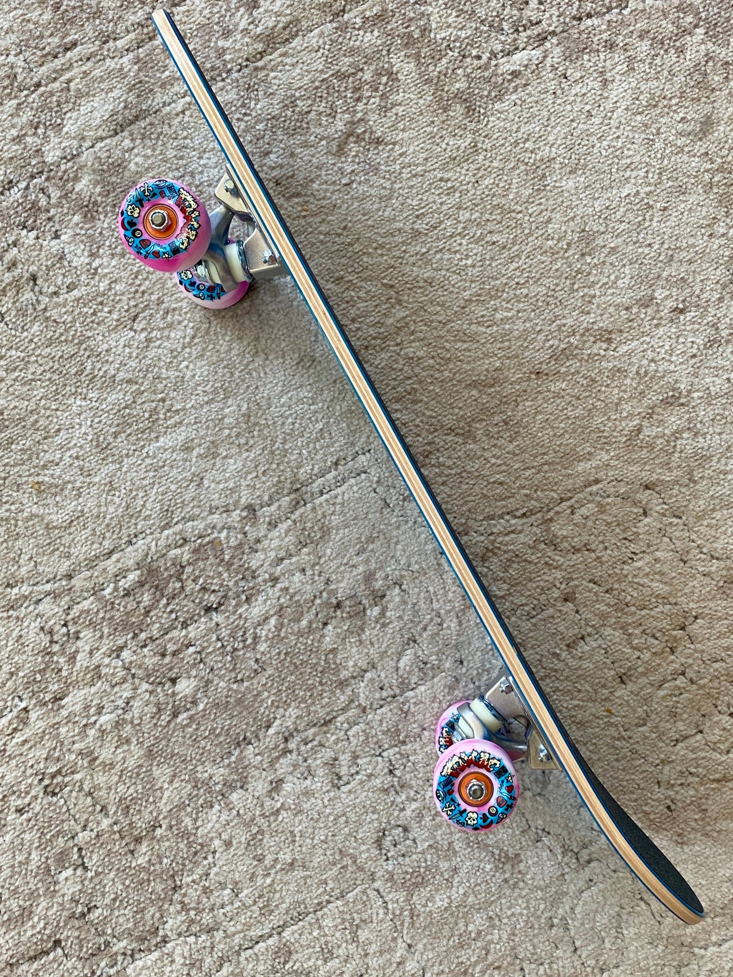 Denny Riordon Jester FREESTYLE Limited Edition 7.3”x28” HAND PAINTED (1 of 15) COMPLETE SKATEBOARD