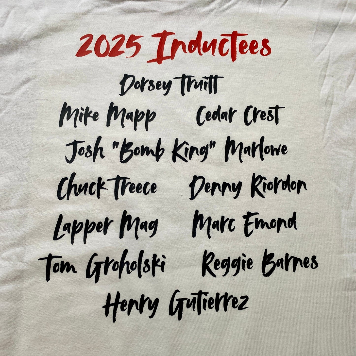Skateboard Hall of Fame 2025 Inductees Shirt or Hoodie