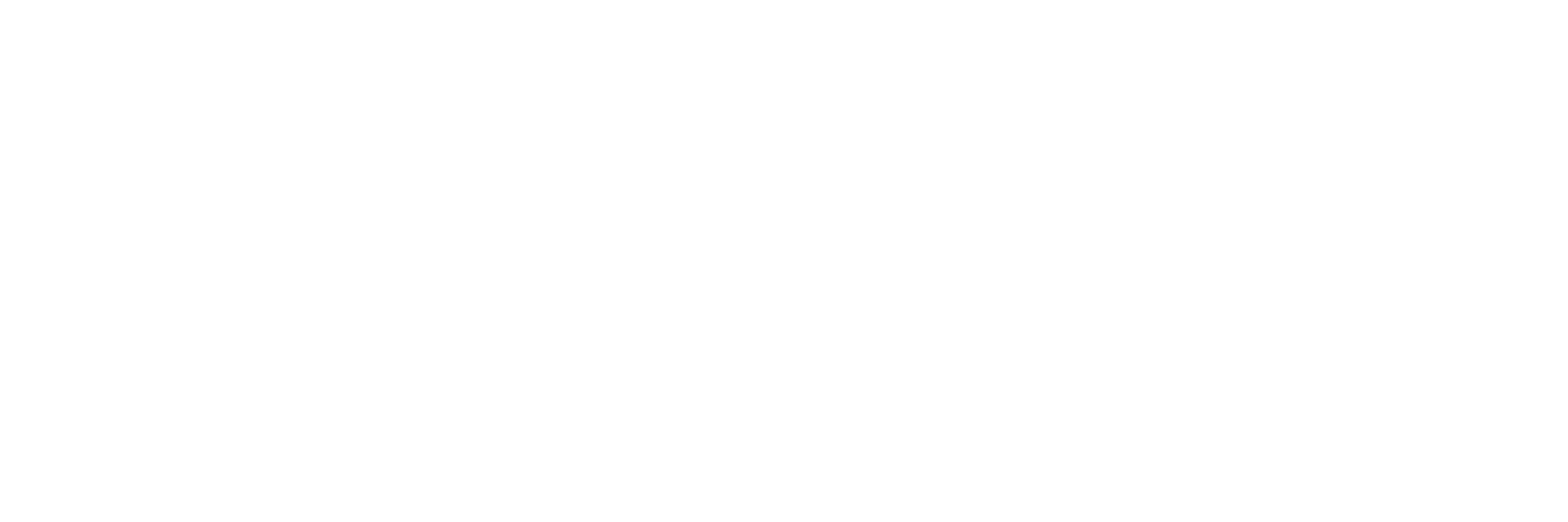MERCH AUTHORITY